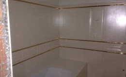 IMG_2440
