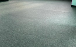 IMG-20231208-WA0113