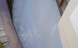 IMG-20231212-WA0098