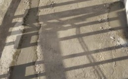 IMG-20231212-WA0100